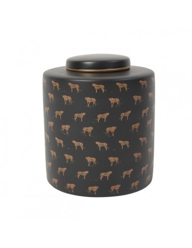 Vase avec couvercle Leopoldis offre 