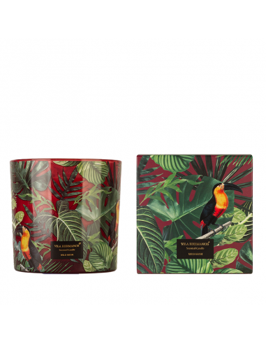 Bougie Wild Musk commande en ligne