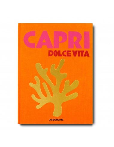 Livre Capri dolce vita vente chaude votre 