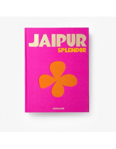 Livre Jaipur splendor Par le système avancé 